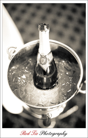 0026-110501-RedTiePhotography-Bridalshow
