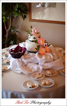 0027-110501-RedTiePhotography-Bridalshow